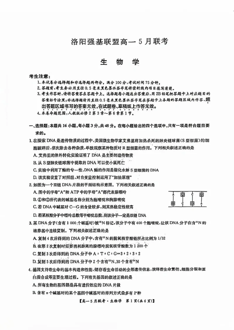 河南省洛阳市强基联盟2024-2025学年高一下学期5月月考生物试题（扫描版，有答案）_2024-2025高一（7-7月题库）_2025年6月7.10新增_0613河南省洛阳市强基联盟2024-2025学年高一下学期5月月考