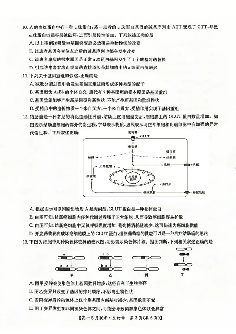 河南省洛阳市强基联盟2024-2025学年高一下学期5月月考生物试题（扫描版，有答案）_2024-2025高一（7-7月题库）_2025年6月7.10新增_0613河南省洛阳市强基联盟2024-2025学年高一下学期5月月考