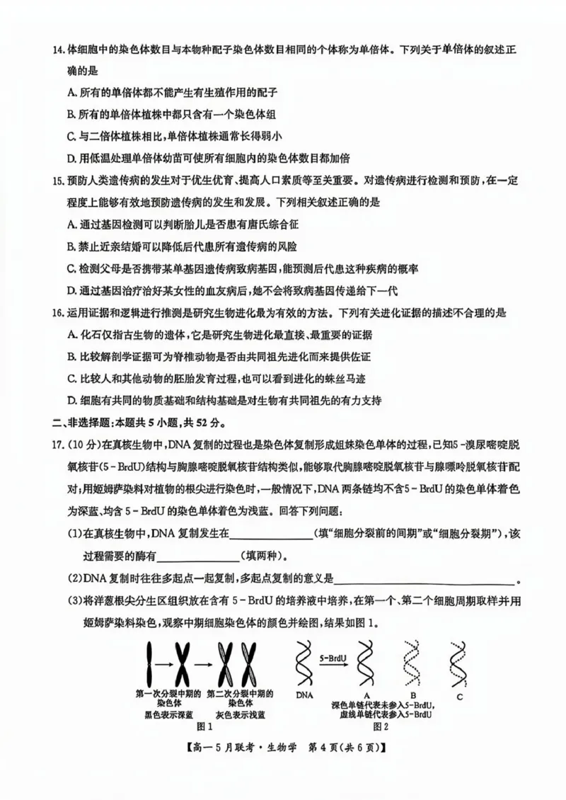 河南省洛阳市强基联盟2024-2025学年高一下学期5月月考生物试题（扫描版，有答案）_2024-2025高一（7-7月题库）_2025年6月7.10新增_0613河南省洛阳市强基联盟2024-2025学年高一下学期5月月考