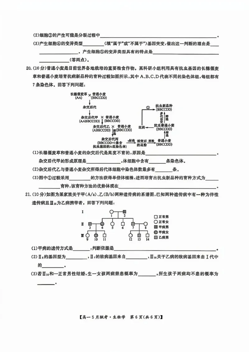 河南省洛阳市强基联盟2024-2025学年高一下学期5月月考生物试题（扫描版，有答案）_2024-2025高一（7-7月题库）_2025年6月7.10新增_0613河南省洛阳市强基联盟2024-2025学年高一下学期5月月考