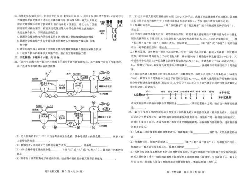山东中学联盟2024年高考考前热身押题生物_2024年5月_01按日期_20号_2024届山东省中学联盟高三下学期5月考前热身押题_2024届山东省中学联盟高考考前热身押题生物试题