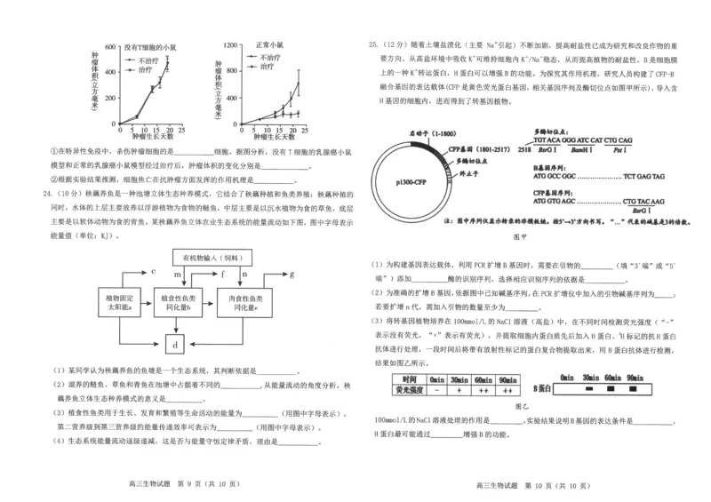 山东中学联盟2024年高考考前热身押题生物_2024年5月_01按日期_20号_2024届山东省中学联盟高三下学期5月考前热身押题_2024届山东省中学联盟高考考前热身押题生物试题