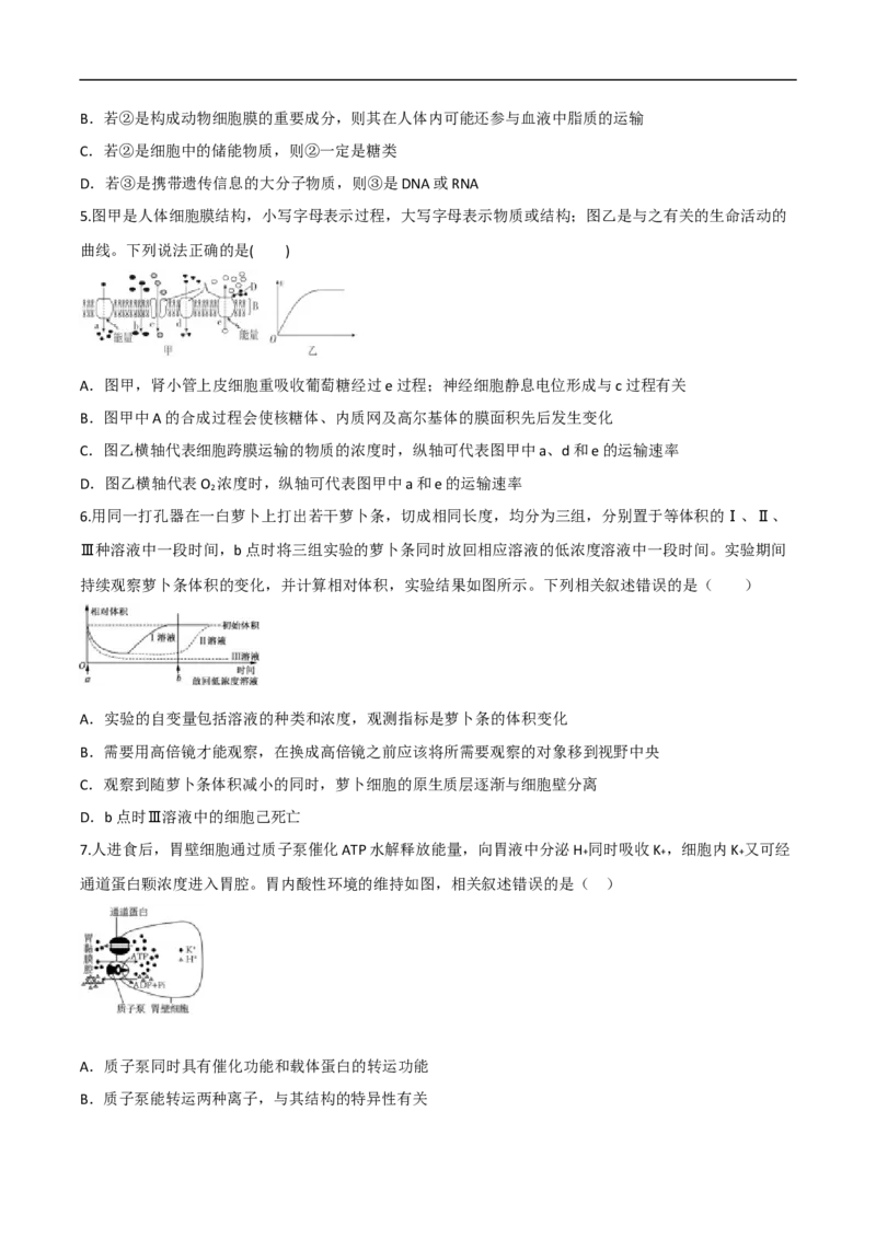 陕西省西安市部分学校2024-2025学年高一上学期第四次阶段性检测生物试卷(有答案)_2024-2025高一（7-7月题库）_2025年02月试卷