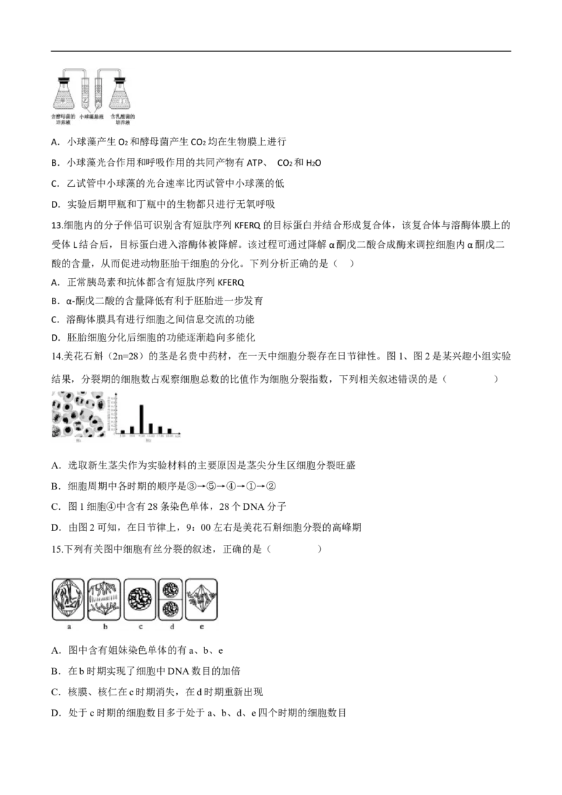 陕西省西安市部分学校2024-2025学年高一上学期第四次阶段性检测生物试卷(有答案)_2024-2025高一（7-7月题库）_2025年02月试卷