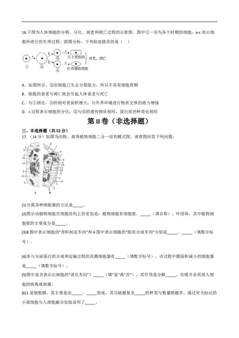 陕西省西安市部分学校2024-2025学年高一上学期第四次阶段性检测生物试卷(有答案)_2024-2025高一（7-7月题库）_2025年02月试卷