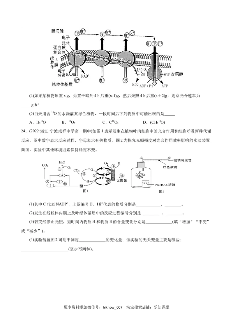 第5章细胞的能量供应和利用（A卷&middot;知识通关练）（原卷版）_E015高中全科试卷_生物试题_必修1_1.单元测试_1.单元测试AB卷（第一套）
