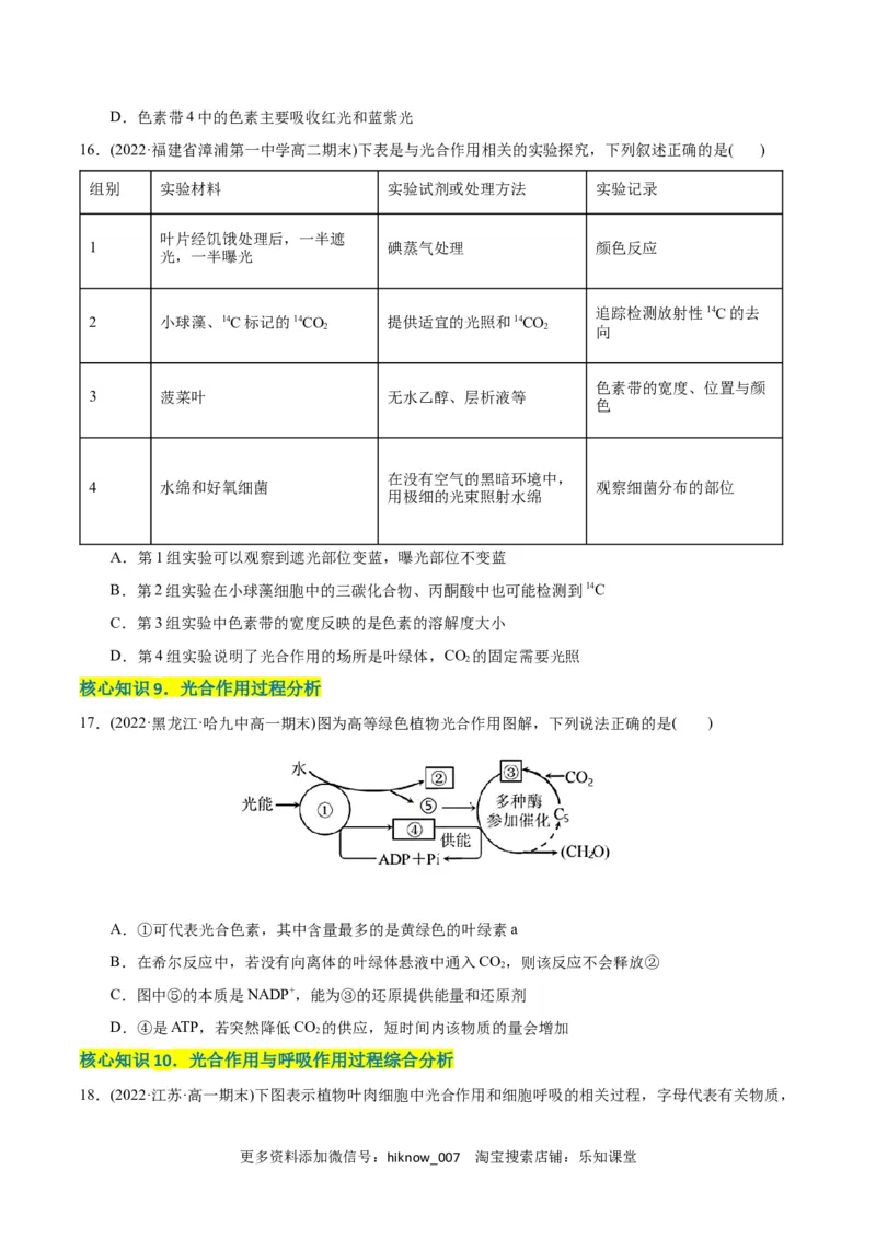 第5章细胞的能量供应和利用（A卷&middot;知识通关练）（原卷版）_E015高中全科试卷_生物试题_必修1_1.单元测试_1.单元测试AB卷（第一套）