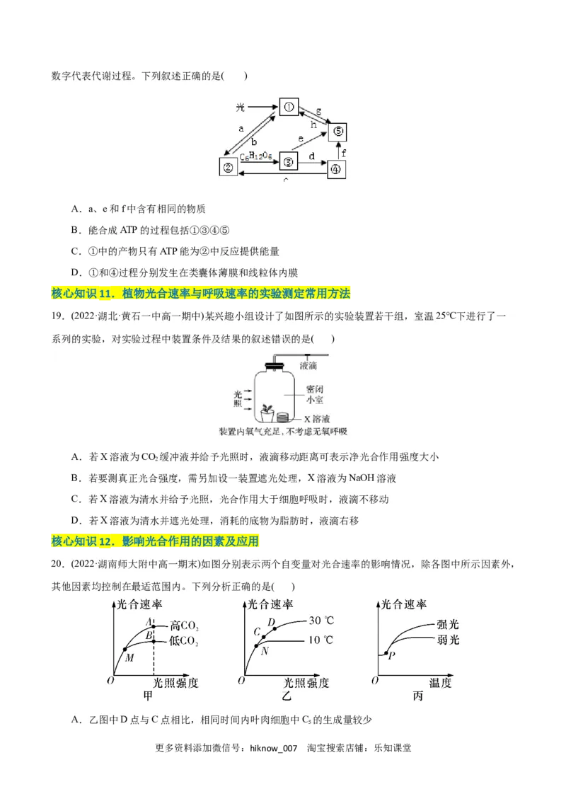 第5章细胞的能量供应和利用（A卷&middot;知识通关练）（原卷版）_E015高中全科试卷_生物试题_必修1_1.单元测试_1.单元测试AB卷（第一套）