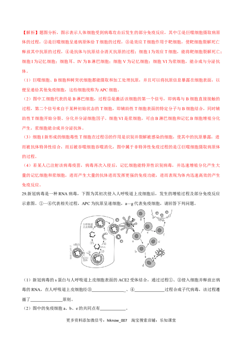 第4章免疫调节（测试卷）-2022-2023学年高二生物章末检测卷（人教版2019选择性必修1）（解析版）_E015高中全科试卷_生物试题_选修1_1.单元测试_1.单元测试2023年