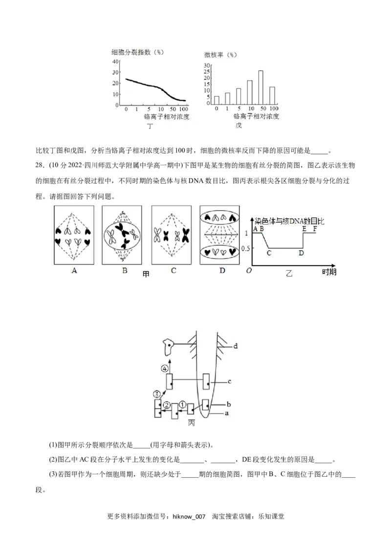 第6章细胞的生命历程（B卷&middot;能力提升练）（原卷版）_E015高中全科试卷_生物试题_必修1_1.单元测试_1.单元测试AB卷（第一套）