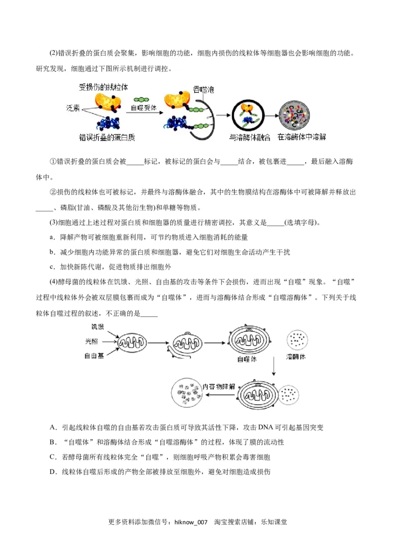 第6章细胞的生命历程（B卷&middot;能力提升练）（原卷版）_E015高中全科试卷_生物试题_必修1_1.单元测试_1.单元测试AB卷（第一套）
