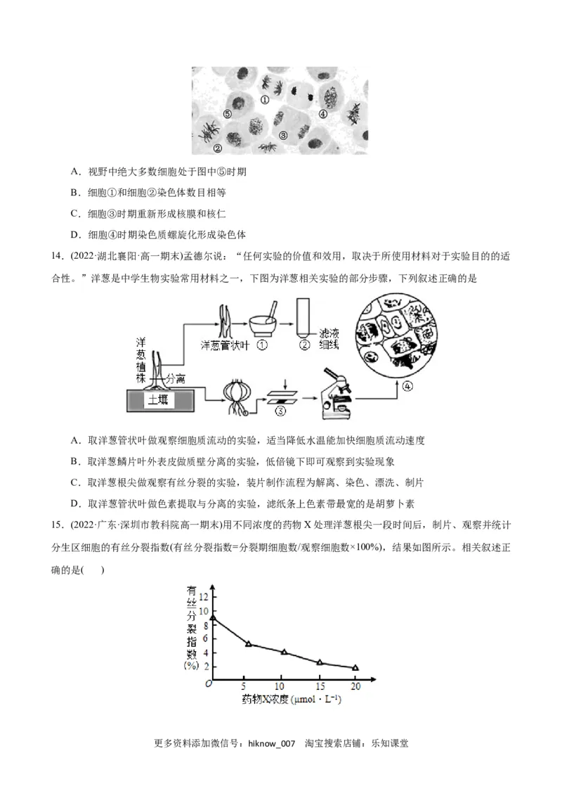 第6章细胞的生命历程（B卷&middot;能力提升练）（原卷版）_E015高中全科试卷_生物试题_必修1_1.单元测试_1.单元测试AB卷（第一套）