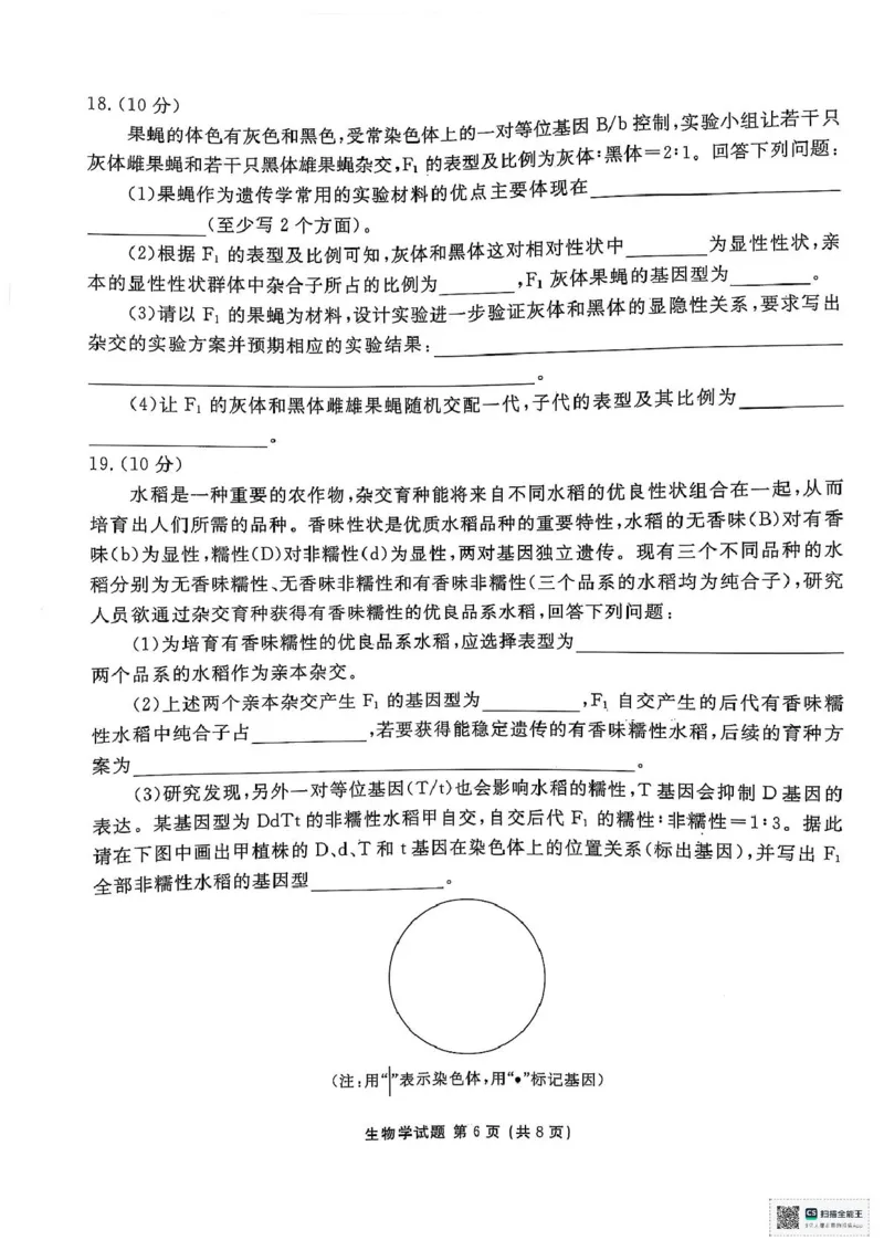 陕西省安康市2024-2025学年高一下学期4月期中生物试题（扫描版无答案）_2024-2025高一（7-7月题库）_2025年05月试卷_0510陕西省安康市2024-2025学年高一下学期4月期中考试