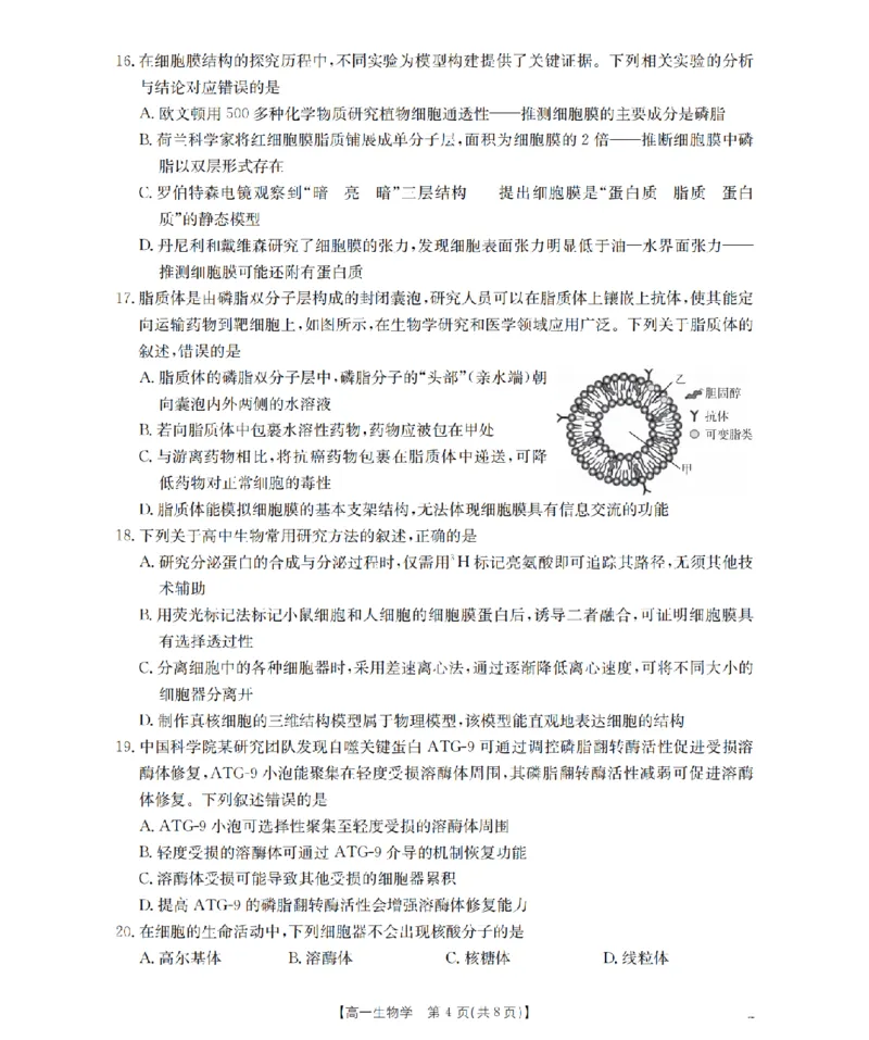 重庆市2025-2026学年高一上学期12月考试（26-160A）生物_2024-2025高一（7-7月题库）_2026年1月高一_260105金太阳&middot;重庆市2025-2026学年高一上学期12月考试（26-160A）（全）