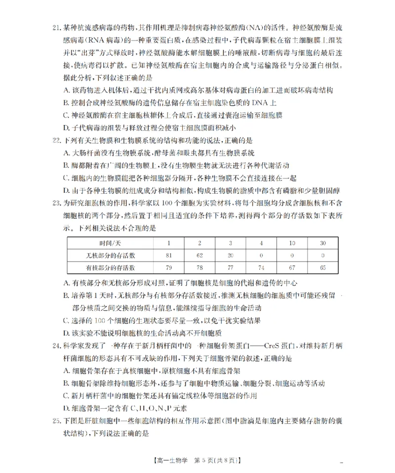 重庆市2025-2026学年高一上学期12月考试（26-160A）生物_2024-2025高一（7-7月题库）_2026年1月高一_260105金太阳&middot;重庆市2025-2026学年高一上学期12月考试（26-160A）（全）