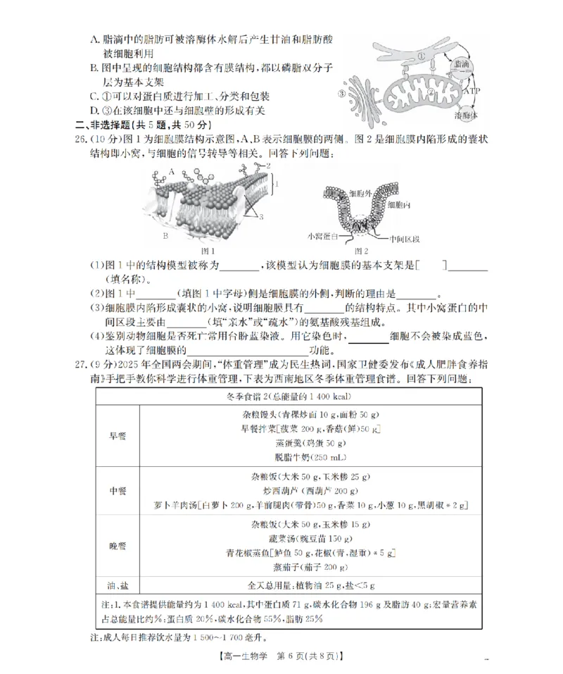 重庆市2025-2026学年高一上学期12月考试（26-160A）生物_2024-2025高一（7-7月题库）_2026年1月高一_260105金太阳&middot;重庆市2025-2026学年高一上学期12月考试（26-160A）（全）