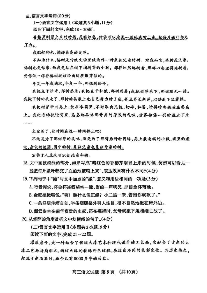山东省泰安市2024年(届)高三年级四轮检测(泰安四模)语文试卷+答案_2024年5月_01按日期_23号_2024届山东省泰安市高三年级四轮检测