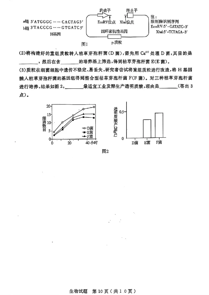 山东省济宁市2024届高三年级高考第三次模拟试题生物试卷+答案_2024年5月_01按日期_28号_2024届山东省济宁市高三年级高考第三次模拟试题