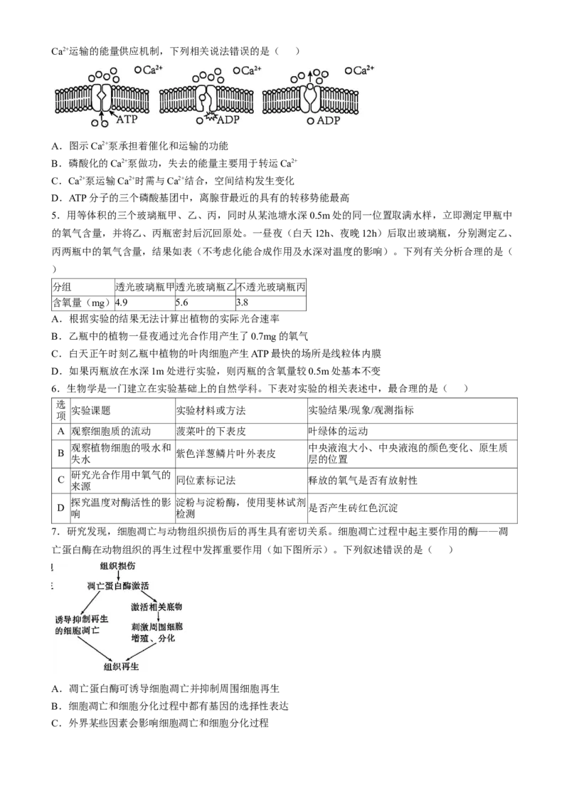 湖北省重点高中智学联盟2024-2025学年高一下学期5月联考生物试题（有答案）_2024-2025高一（7-7月题库）_2025年05月试卷_0530湖北省重点高中智学联盟2024-2025学年高一下学期5月联考