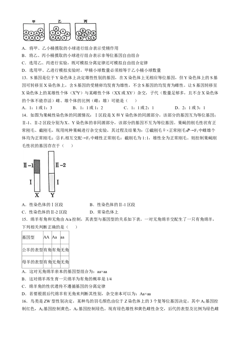 湖北省重点高中智学联盟2024-2025学年高一下学期5月联考生物试题（有答案）_2024-2025高一（7-7月题库）_2025年05月试卷_0530湖北省重点高中智学联盟2024-2025学年高一下学期5月联考