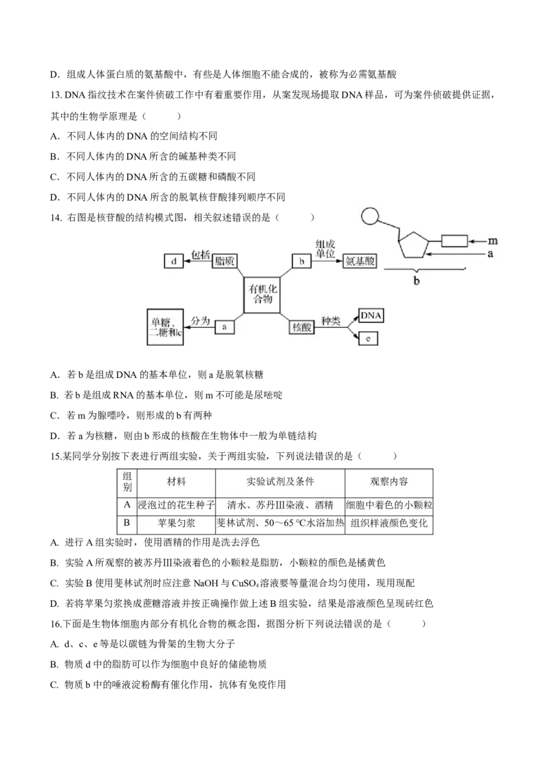 贵州省部分学校2024-2025学年高一上学期第一次联考试题生物Word版含答案_2024-2025高一（7-7月题库）_2025年01月试卷_0110贵州省部分学校2024-2025学年高一上学期第一次联考试题