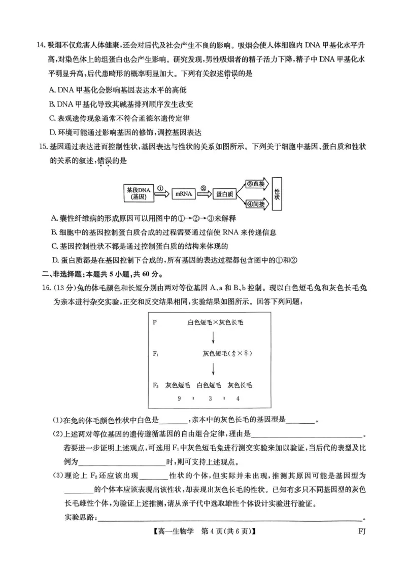福建省福州市联盟校2024-2025学年高一下学期期中考试生物PDF版含解析_2024-2025高一（7-7月题库）_2025年6月7.10新增_0609福建省福州市联盟校2024-2025学年高一下学期期中考试