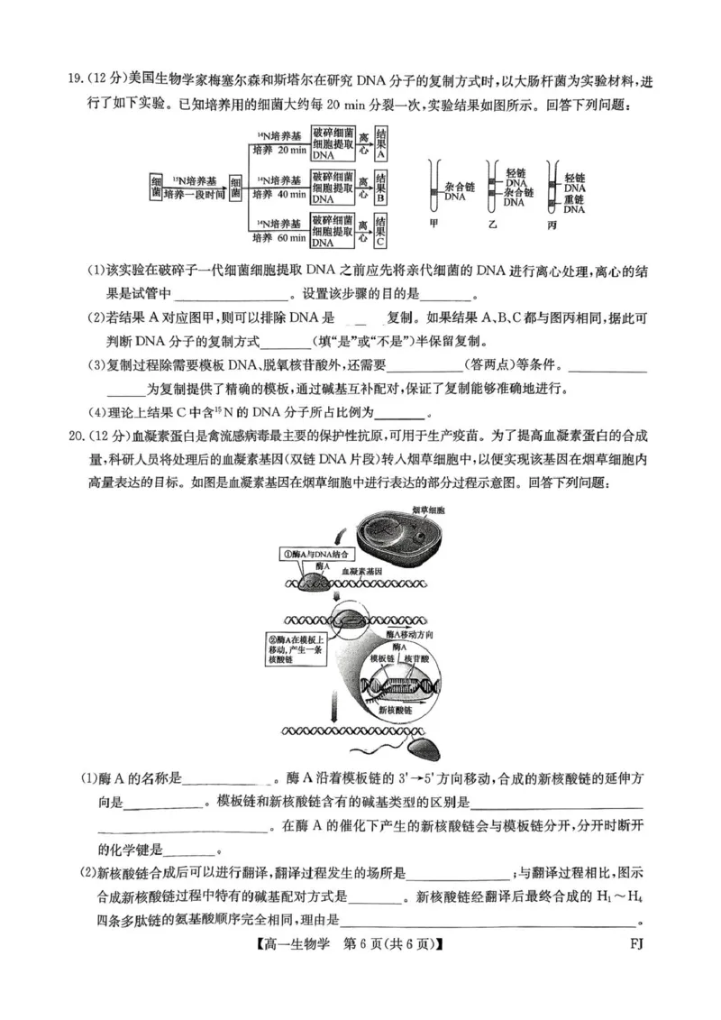 福建省福州市联盟校2024-2025学年高一下学期期中考试生物PDF版含解析_2024-2025高一（7-7月题库）_2025年6月7.10新增_0609福建省福州市联盟校2024-2025学年高一下学期期中考试