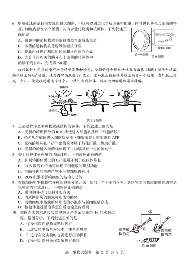 浙江省杭州地区（含周边）重点中学2024-2025学年高一下学期期中考试生物试卷（PDF版，含答案）_2024-2025高一（7-7月题库）_2025年05月试卷