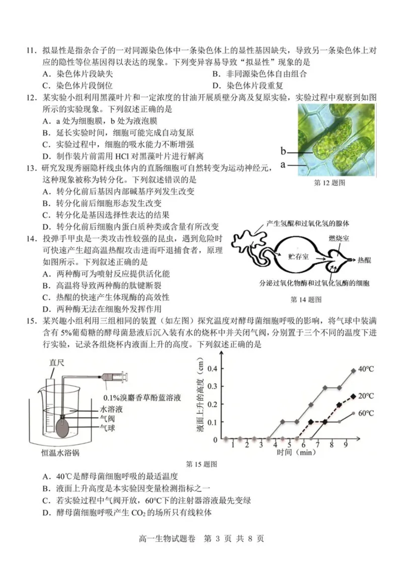 浙江省杭州地区（含周边）重点中学2024-2025学年高一下学期期中考试生物试卷（PDF版，含答案）_2024-2025高一（7-7月题库）_2025年05月试卷