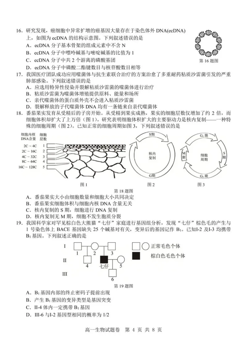 浙江省杭州地区（含周边）重点中学2024-2025学年高一下学期期中考试生物试卷（PDF版，含答案）_2024-2025高一（7-7月题库）_2025年05月试卷