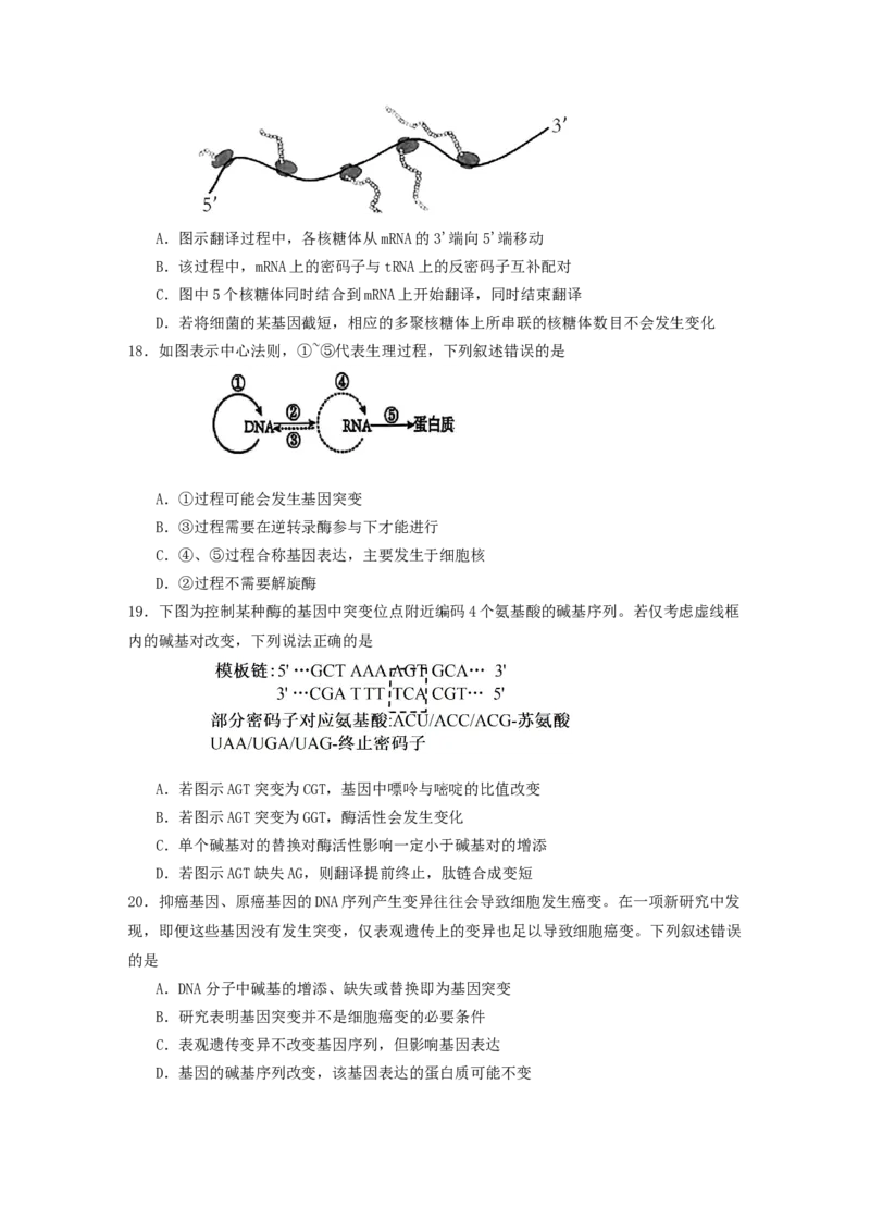 福建省龙岩市连城县第一中学2024-2025学年高一下学期5月月考生物试题（含答案）_2024-2025高一（7-7月题库）_2025年6月7.10新增_0606福建省连城县第一中学2024-2025学年高一下学期5月月考2