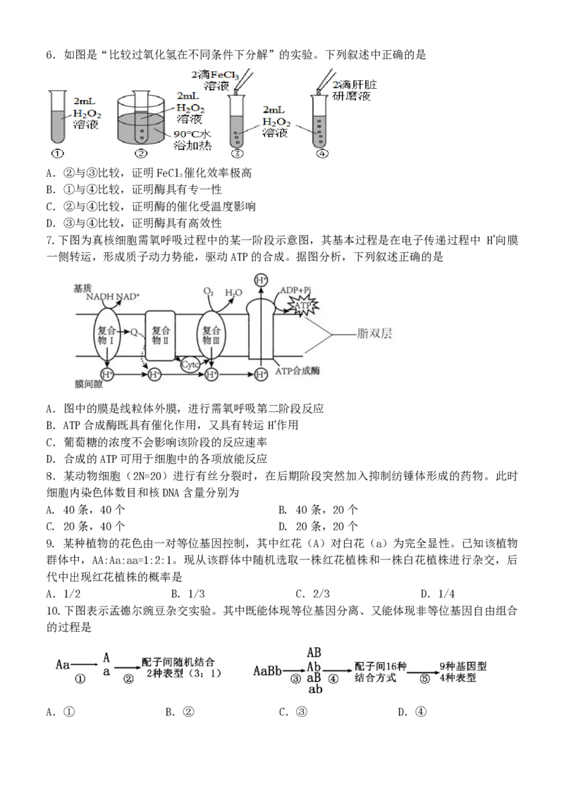 浙江省浙里特色2024-2025学年高一下学期4月期中生物试题（PDF版，含答案）_2024-2025高一（7-7月题库）_2025年05月试卷_0519浙江省浙里特色联盟2024-2025学年高一下学期4月期中联考