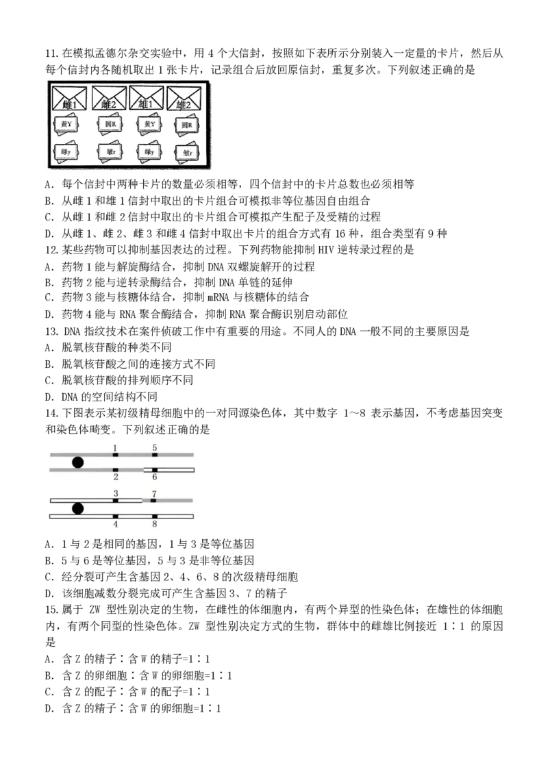 浙江省浙里特色2024-2025学年高一下学期4月期中生物试题（PDF版，含答案）_2024-2025高一（7-7月题库）_2025年05月试卷_0519浙江省浙里特色联盟2024-2025学年高一下学期4月期中联考