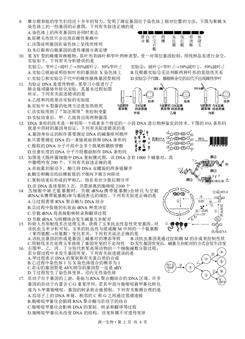 高2023级高一下生物_2024-2025高一（7-7月题库）_2024年7月试卷_0729四川省泸州市2023-2024学年高一下学期期末考试