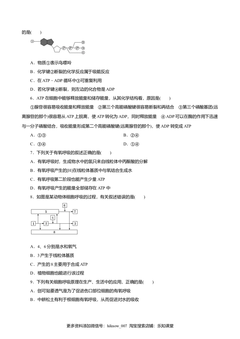 第5章细胞的能量供应和利用A卷（原卷版）_E015高中全科试卷_生物试题_必修1_1.单元测试_3.单元测试（第三套）_第5章细胞的能量供应和利用A卷-高一生物学同步单元AB卷（2019人教版必修1）