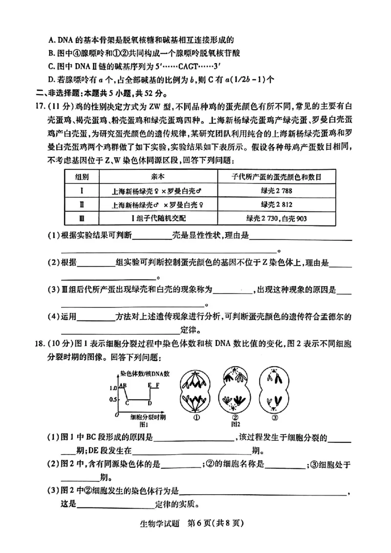 河南省南阳六校2024-2025学年高一下学期期中考试生物PDF版含解析_2024-2025高一（7-7月题库）_2025年04月试卷_0424河南省南阳市六校2024-2025学年高一下学期期中考试