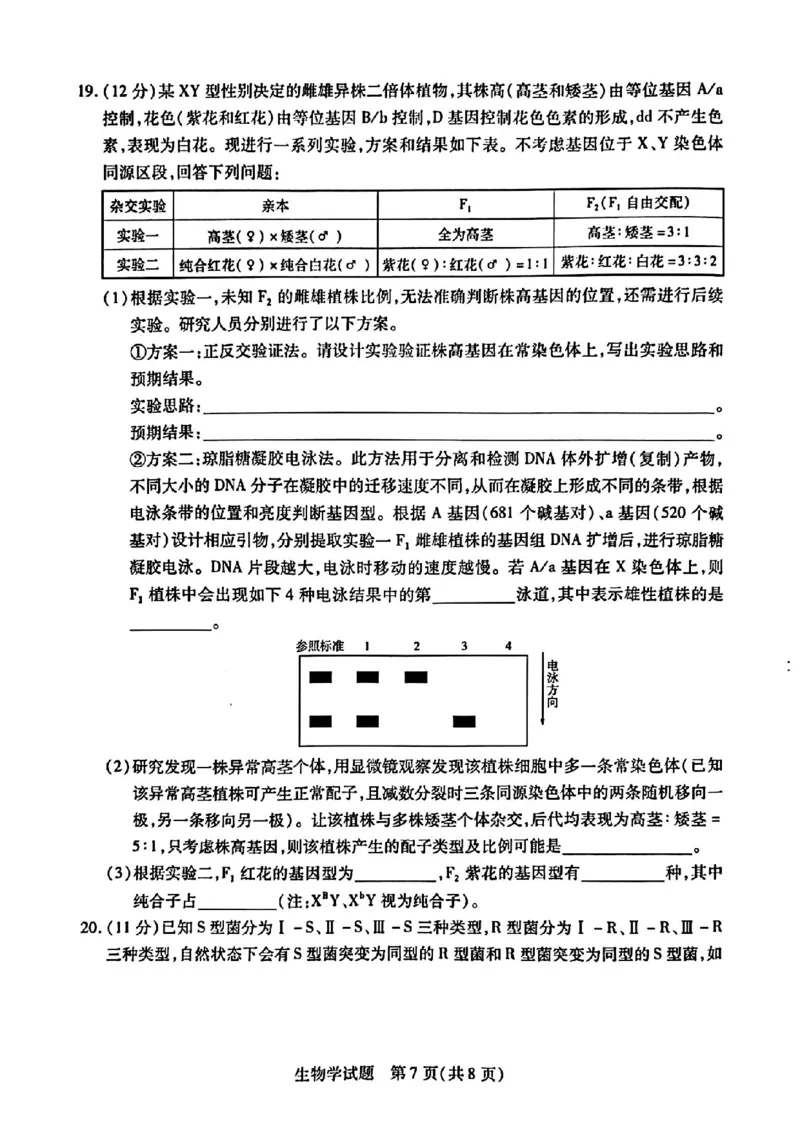 河南省南阳六校2024-2025学年高一下学期期中考试生物PDF版含解析_2024-2025高一（7-7月题库）_2025年04月试卷_0424河南省南阳市六校2024-2025学年高一下学期期中考试