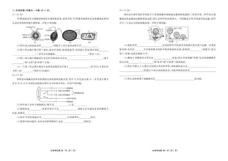 生物衡水金卷2025-2026学年度高一年级12月份联考_2024-2025高一（7-7月题库）_2026年1月高一_260105衡水金卷2025-2026学年度高一年级12月份联考（全）