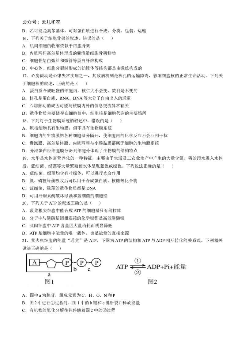 浙江省台州市台州十校联考2024-2025学年高一上学期期中考试生物试题Word版含答案_2024-2025高一（7-7月题库）_2024年11月试卷_1112浙江省台州市台州十校联考2024-2025学年高一上学期11月期中