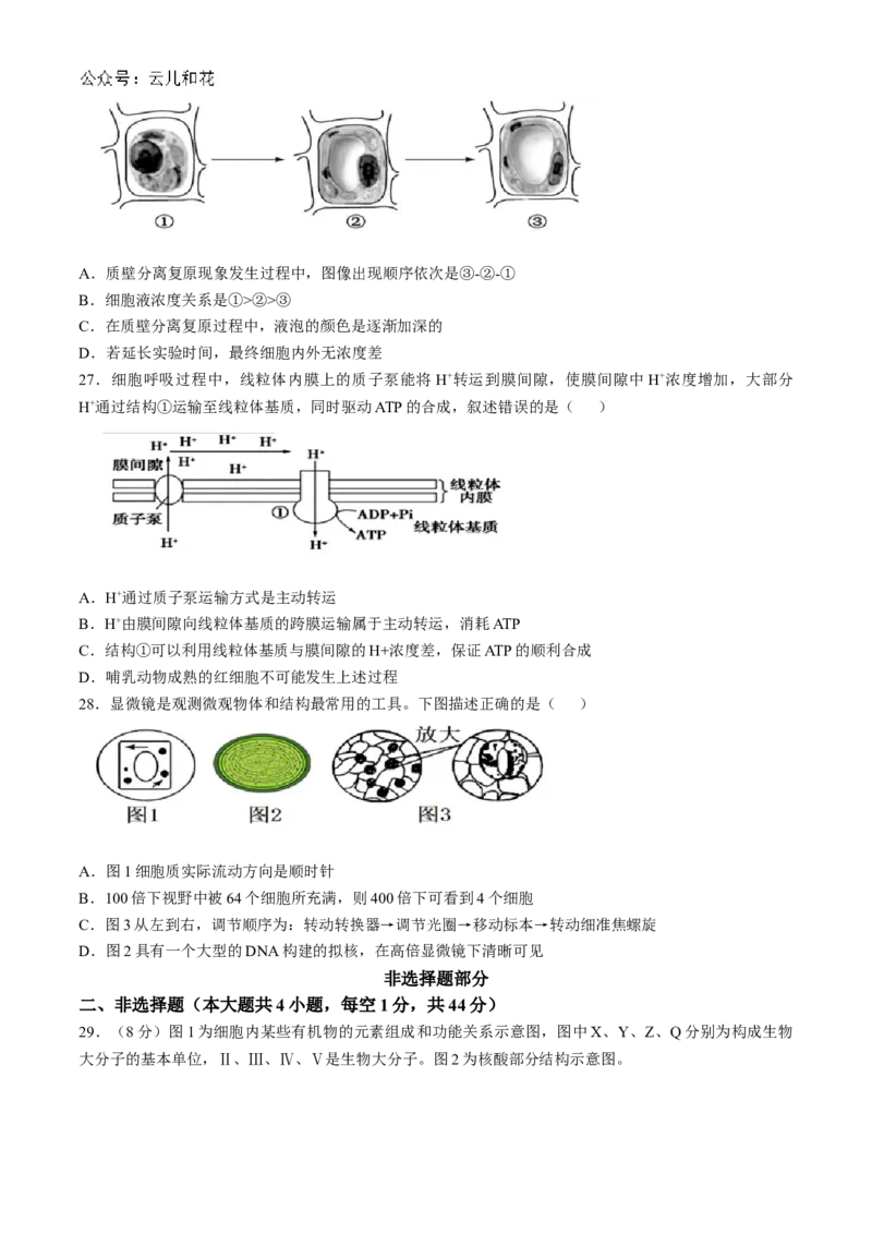 浙江省台州市台州十校联考2024-2025学年高一上学期期中考试生物试题Word版含答案_2024-2025高一（7-7月题库）_2024年11月试卷_1112浙江省台州市台州十校联考2024-2025学年高一上学期11月期中