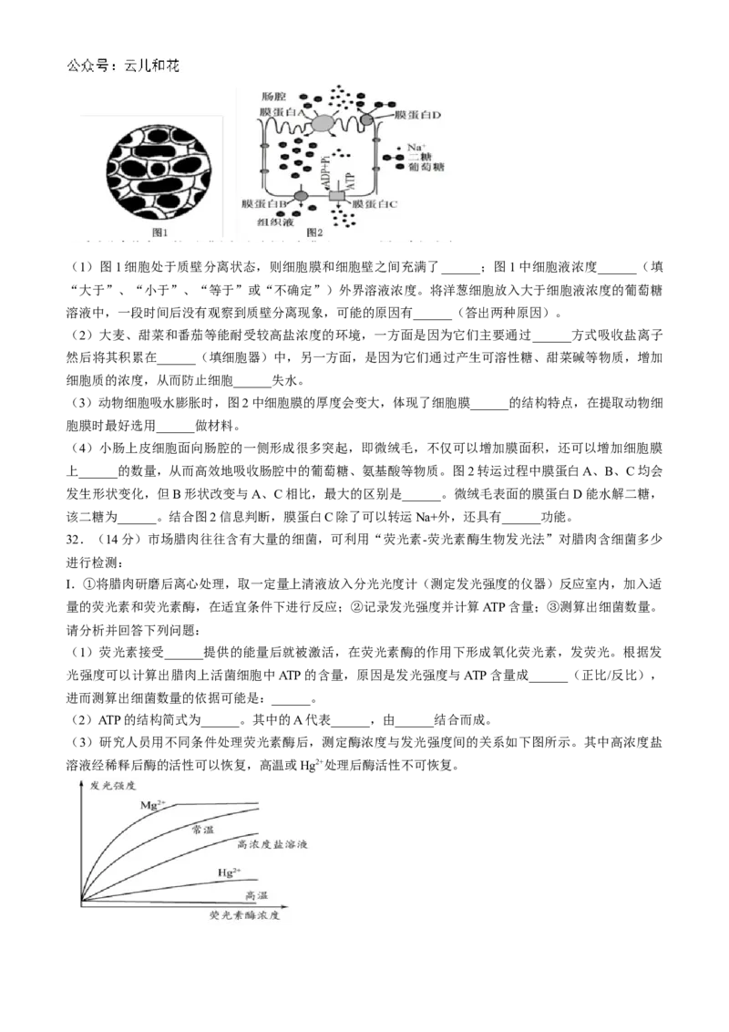 浙江省台州市台州十校联考2024-2025学年高一上学期期中考试生物试题Word版含答案_2024-2025高一（7-7月题库）_2024年11月试卷_1112浙江省台州市台州十校联考2024-2025学年高一上学期11月期中
