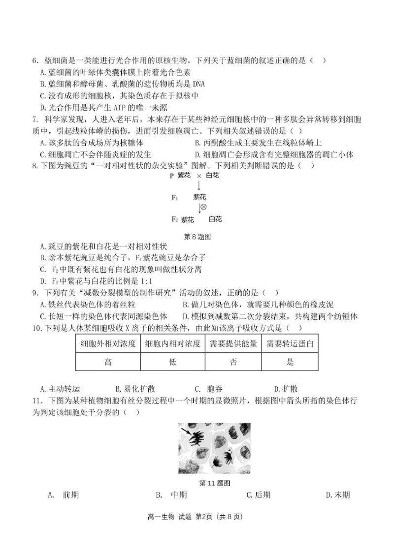浙江省杭州市联谊学校2024-2025学年高一下学期3月月考生物试题（PDF版，无答案）_2024-2025高一（7-7月题库）_2025年04月试卷_0419浙江省杭州市联谊学校2024-2025学年高一下学期3月月考