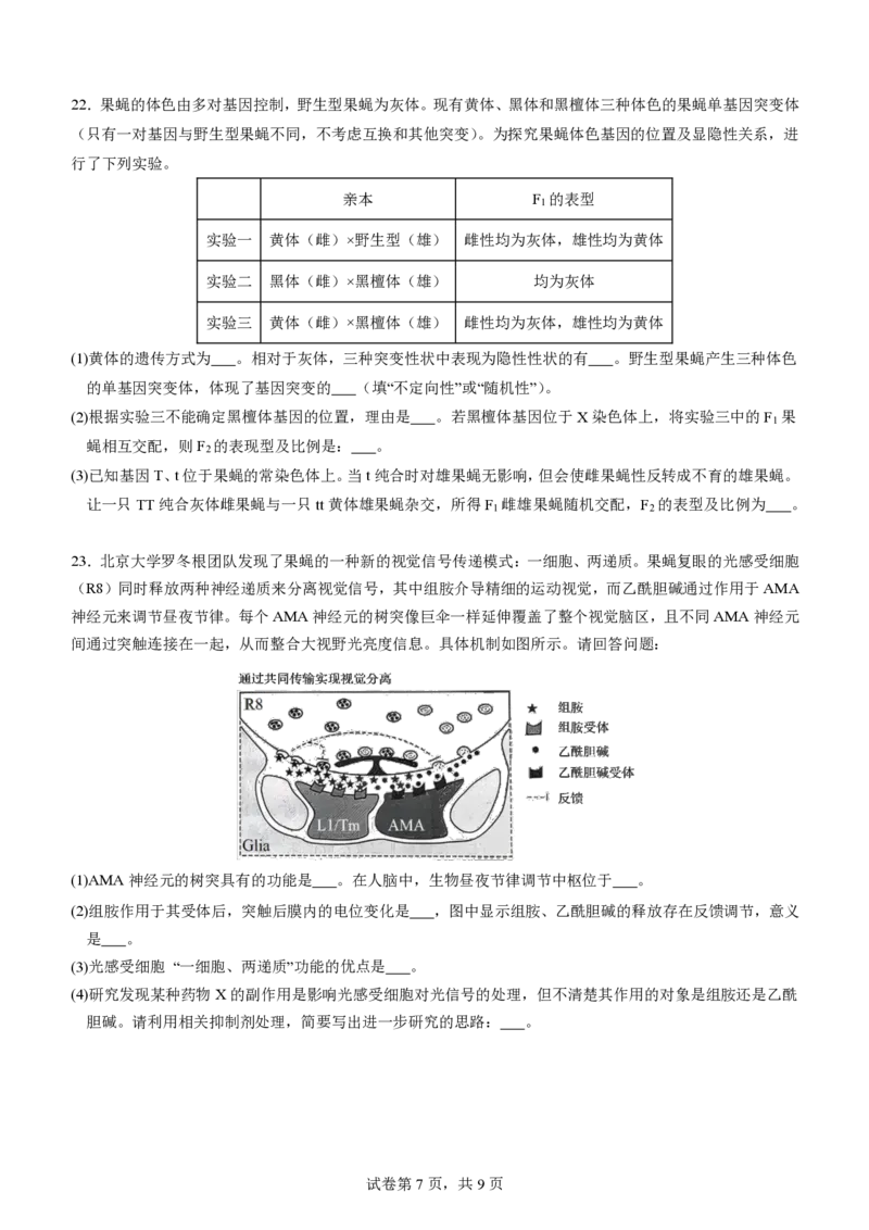 山东省济宁市第一中学2023-2024学年高三下学期3月月考试题生物(1)_2024年4月_024月合集_2024届山东省济宁市一中高三下学期3月月考