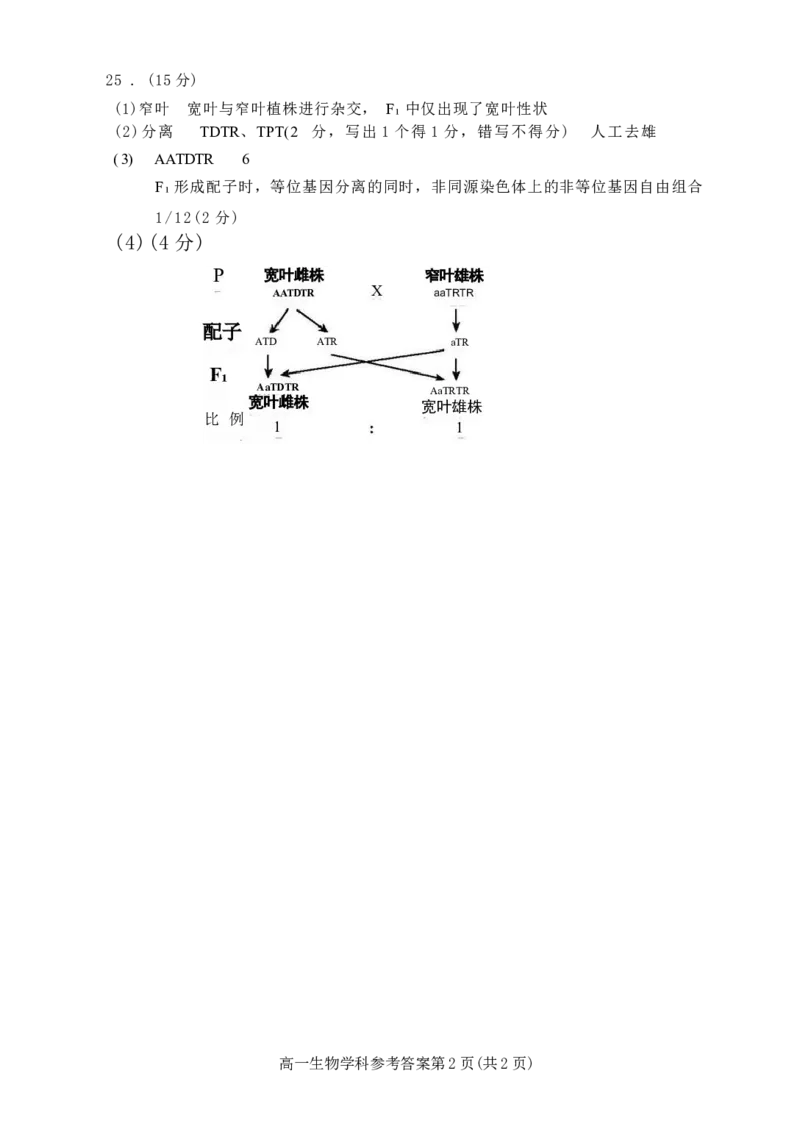 浙江省台金七校联盟2024-2025学年高一下学期期中联考生物试卷（有答案）_2024-2025高一（7-7月题库）_2025年6月7.10新增_0609浙江省台金七校联盟2024-2025学年高一下学期5月期中联考试题