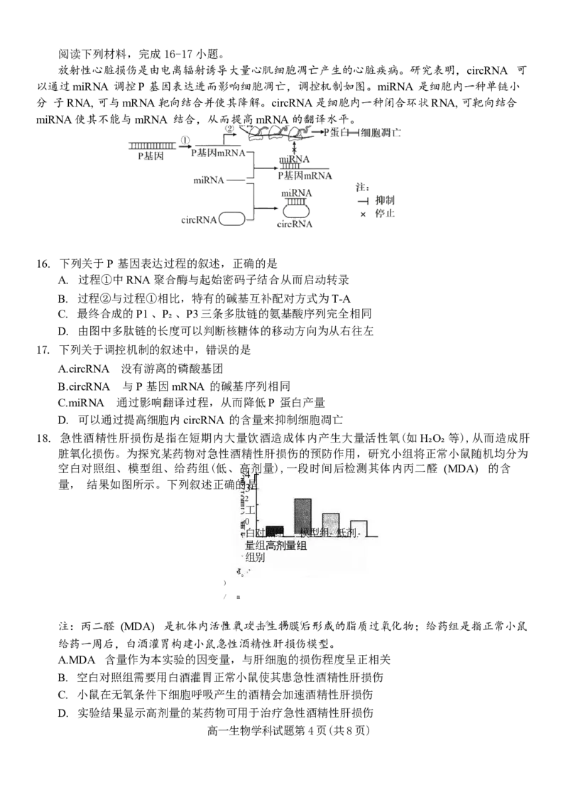 浙江省台金七校联盟2024-2025学年高一下学期期中联考生物试卷（有答案）_2024-2025高一（7-7月题库）_2025年6月7.10新增_0609浙江省台金七校联盟2024-2025学年高一下学期5月期中联考试题