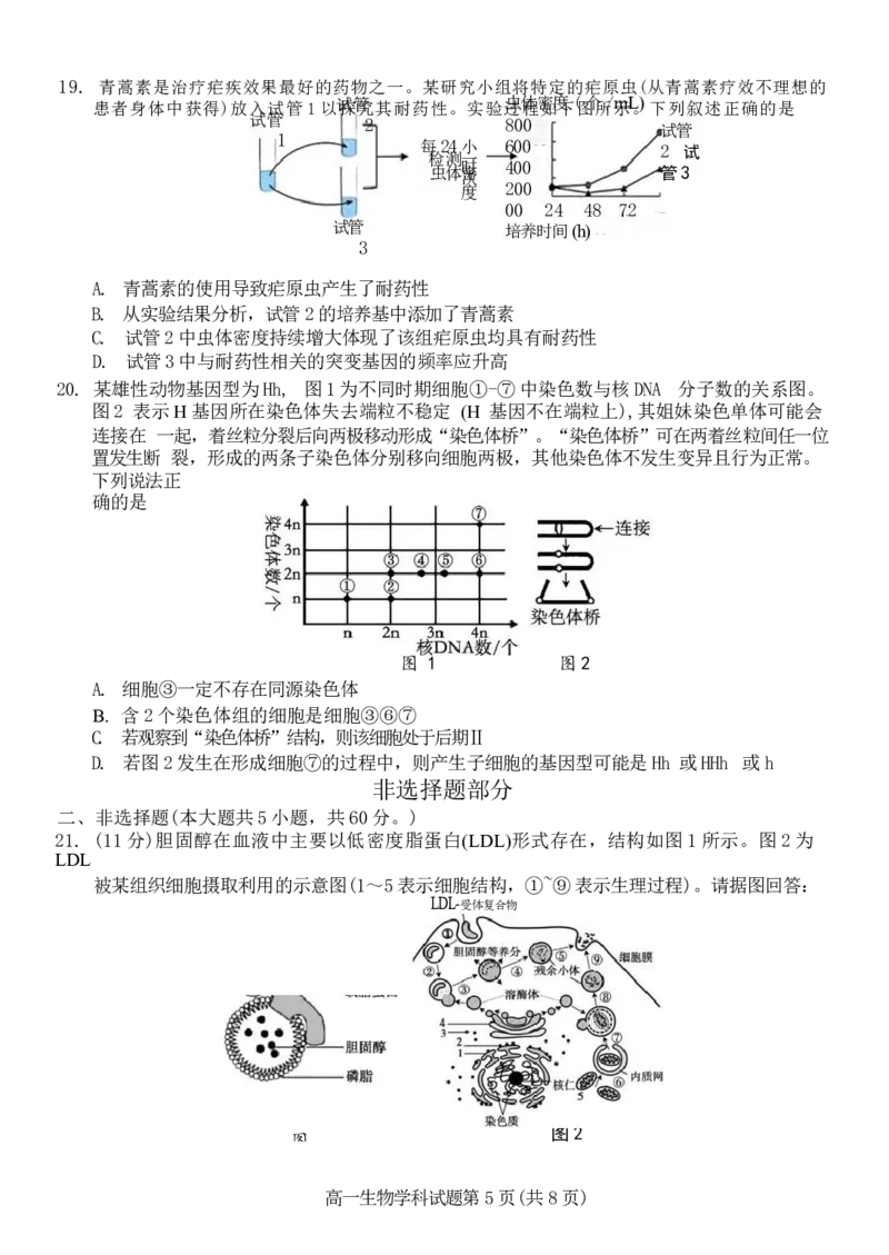 浙江省台金七校联盟2024-2025学年高一下学期期中联考生物试卷（有答案）_2024-2025高一（7-7月题库）_2025年6月7.10新增_0609浙江省台金七校联盟2024-2025学年高一下学期5月期中联考试题