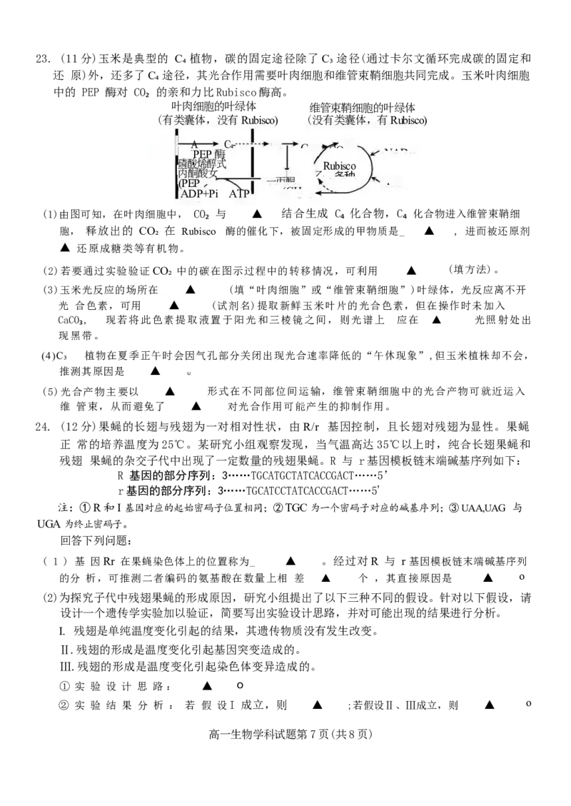 浙江省台金七校联盟2024-2025学年高一下学期期中联考生物试卷（有答案）_2024-2025高一（7-7月题库）_2025年6月7.10新增_0609浙江省台金七校联盟2024-2025学年高一下学期5月期中联考试题