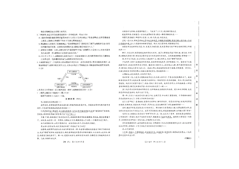 语文_2024-2025高一（7-7月题库）_2024年10月试卷_1031吉林省2025年高一金太阳10月联考