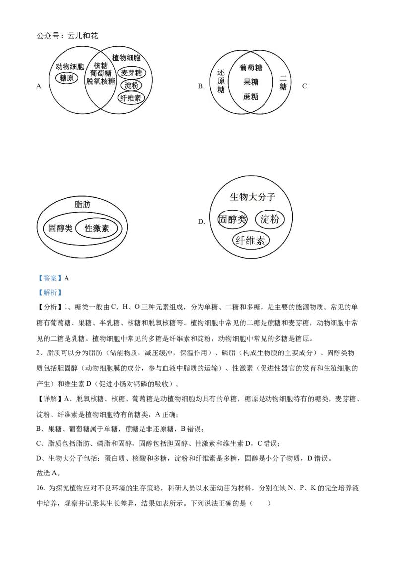 湖南省名校联考联合体2024-2025学年高一上学期第一次联考生物试题Word版含解析_2024-2025高一（7-7月题库）_2024年10月试卷