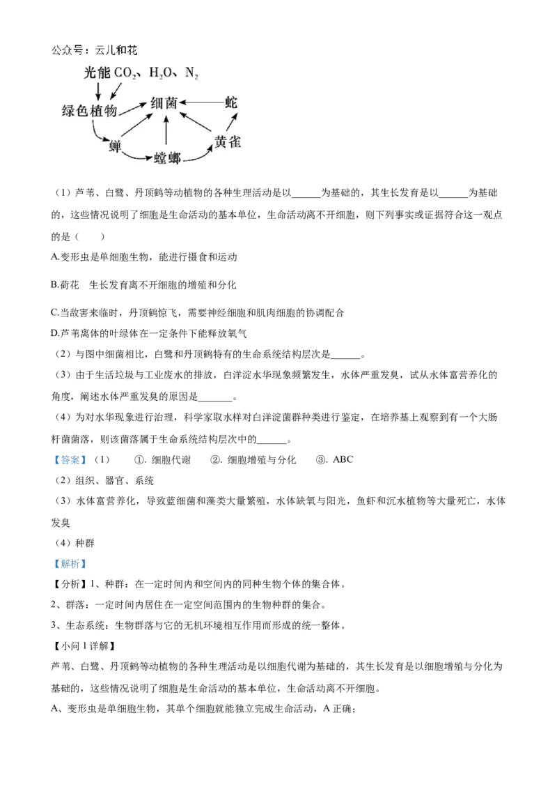 湖南省名校联考联合体2024-2025学年高一上学期第一次联考生物试题Word版含解析_2024-2025高一（7-7月题库）_2024年10月试卷